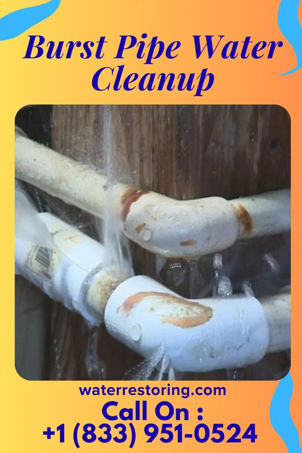 Burst Pipe Water Cleanup in Stephens, AR