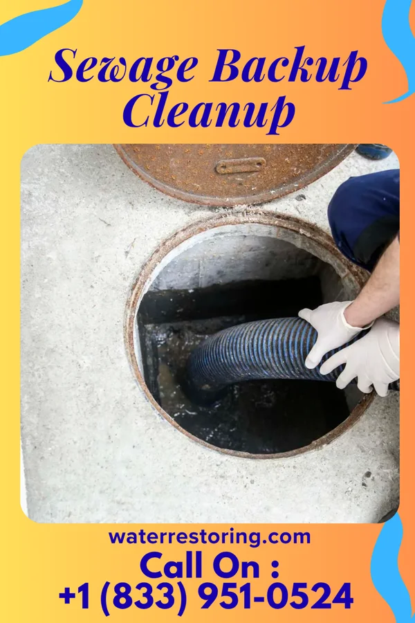 Sewage Backup Cleanup in Stephens, AR